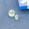 Bunga Kering Di Dalam Perhiasan Tindik Terowongan Telinga Akrilik Faux Opal 2G